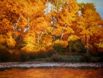 Boise River in Fall