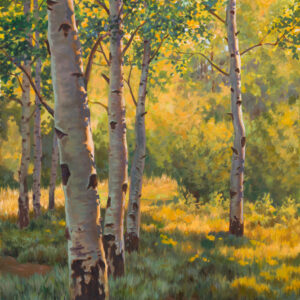 Oil painting of back lit aspen trees in warm yellow light.