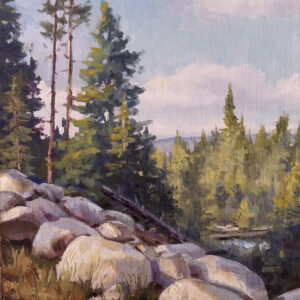 painting of the Trees and rocks near red fish lake in Idaho.