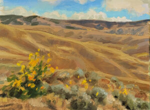 painting of the foothills and wildflowers in Boise, Idaho.
