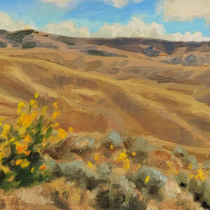 painting of the foothills and wildflowers in Boise, Idaho.